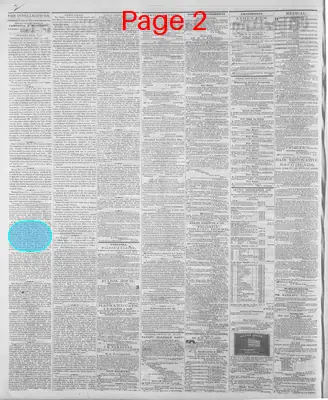 Page thumbnail for Wheeling Daily Intelligencer