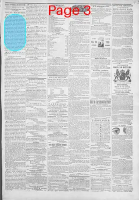 Page thumbnail for Wheeling Daily Intelligencer