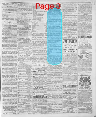 Page thumbnail for Wheeling Daily Intelligencer