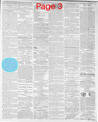 Page thumbnail for Wheeling Daily Intelligencer