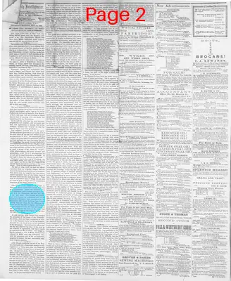Page thumbnail for Wheeling Daily Intelligencer