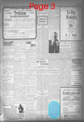 Page thumbnail for The Fairmont West Virginian