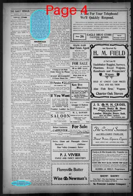 Page thumbnail for The Brownsville Daily Herald
