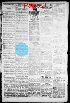 Page thumbnail for The State Journal