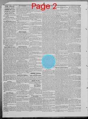 Page thumbnail for The Plymouth Pilot