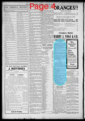 Page thumbnail for The Leon Reporter