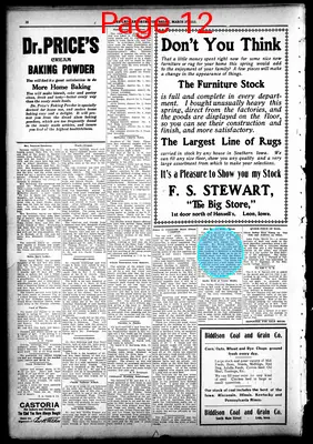 Page thumbnail for The Leon Reporter