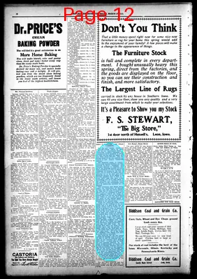 Page thumbnail for The Leon Reporter