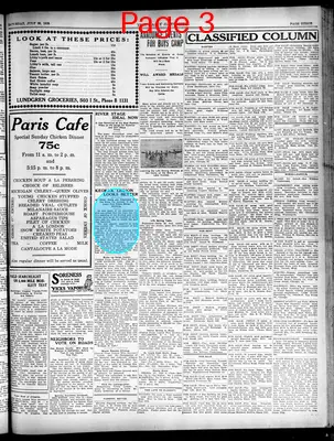 Page thumbnail for The Daily Gate City And Constitution Democrat