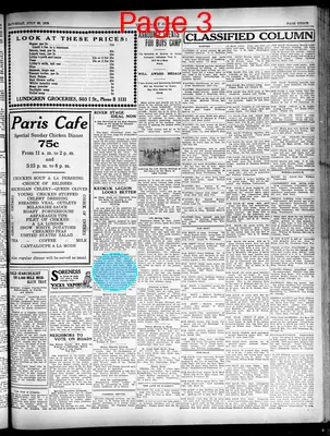 Page thumbnail for The Daily Gate City And Constitution Democrat