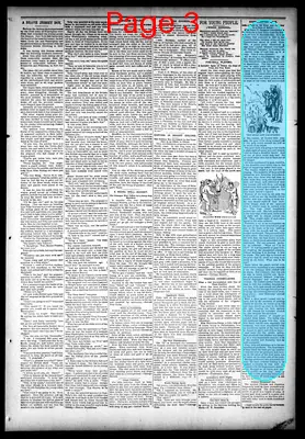 Page thumbnail for Audubon Republican
