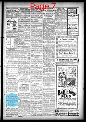 Page thumbnail for Audubon Republican