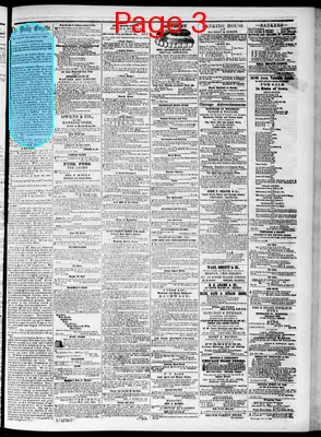Page thumbnail for Daily Davenport Gazette