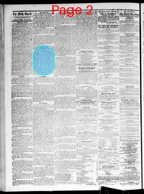 Page thumbnail for Daily Davenport Gazette