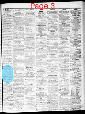 Page thumbnail for Daily Davenport Gazette