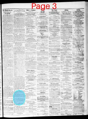 Page thumbnail for Daily Davenport Gazette