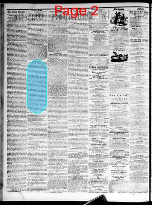 Page thumbnail for Daily Davenport Gazette
