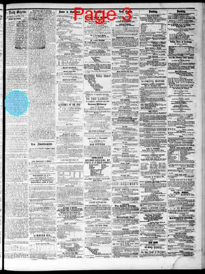 Page thumbnail for Daily Davenport Gazette