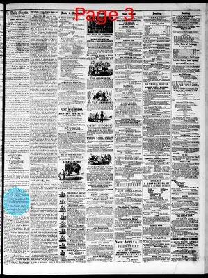Page thumbnail for Daily Davenport Gazette