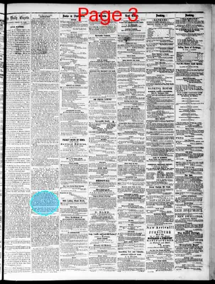 Page thumbnail for Daily Davenport Gazette