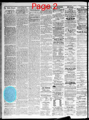 Page thumbnail for Daily Davenport Gazette