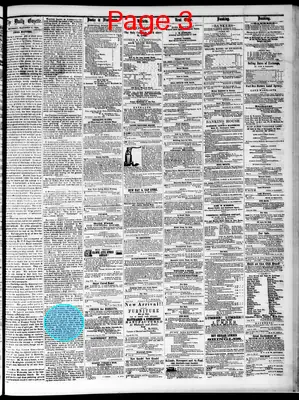 Page thumbnail for Daily Davenport Gazette