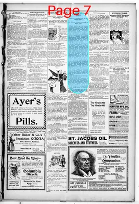 Page thumbnail for Decorah Public Opinion