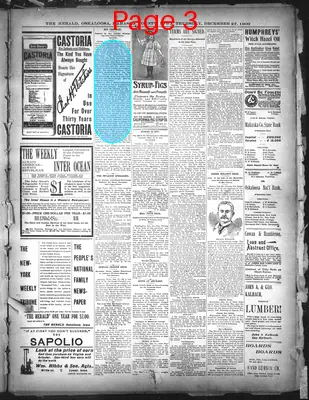 Page thumbnail for The Oskaloosa Herald