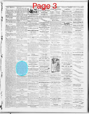 Page thumbnail for The Buchanan County Guardian