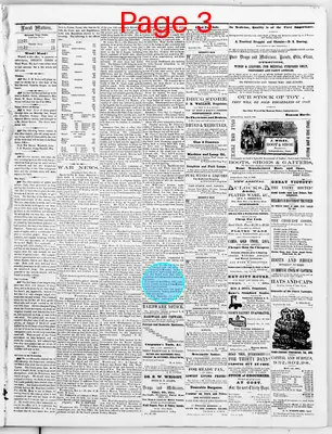 Page thumbnail for The Buchanan County Guardian