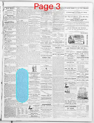Page thumbnail for The Buchanan County Guardian