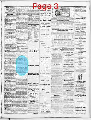 Page thumbnail for The Buchanan County Guardian