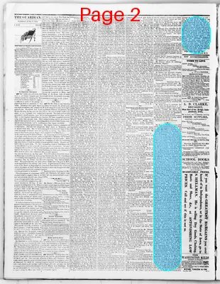 Page thumbnail for The Buchanan County Guardian