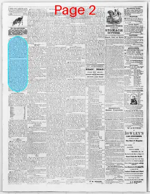 Page thumbnail for The Buchanan County Guardian