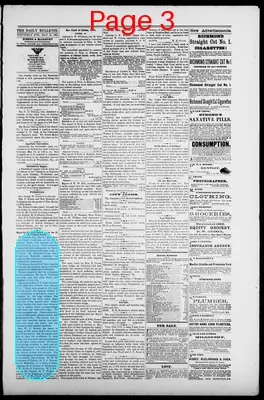 Page thumbnail for Daily Evening Bulletin
