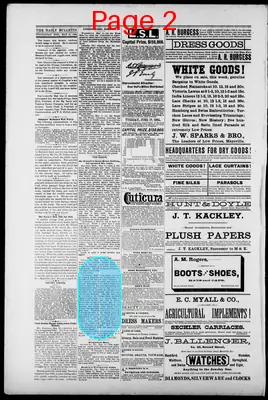 Page thumbnail for Daily Evening Bulletin