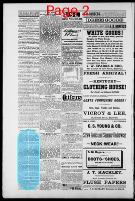 Page thumbnail for Daily Evening Bulletin