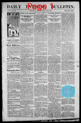 Page thumbnail for Daily Evening Bulletin