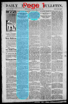 Page thumbnail for Daily Evening Bulletin
