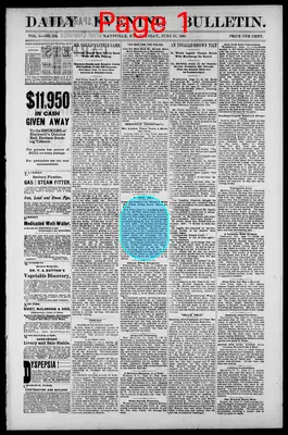 Page thumbnail for Daily Evening Bulletin