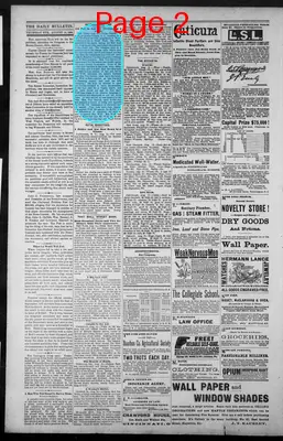 Page thumbnail for Daily Evening Bulletin