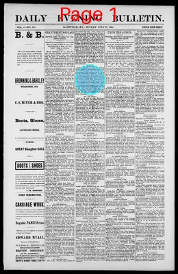 Page thumbnail for Daily Evening Bulletin