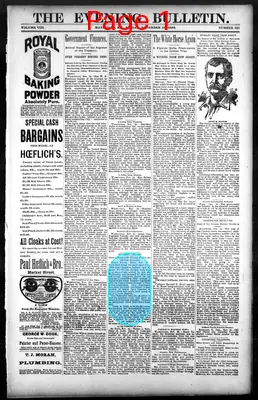 Page thumbnail for The Evening Bulletin