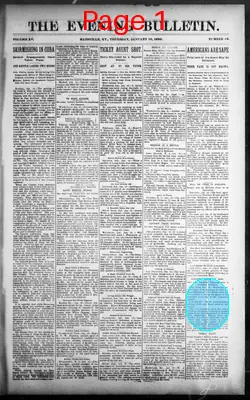 Page thumbnail for The Evening Bulletin