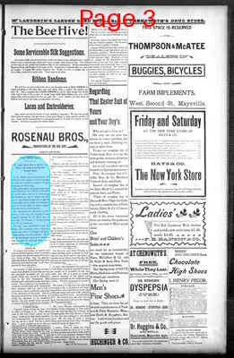 Page thumbnail for The Evening Bulletin