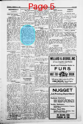 Page thumbnail for The Nome Nugget