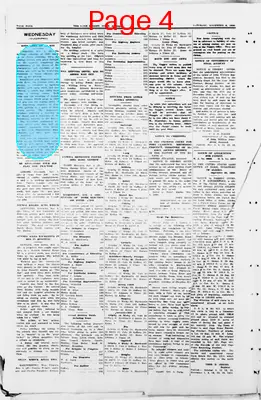 Page thumbnail for The Nome Nugget