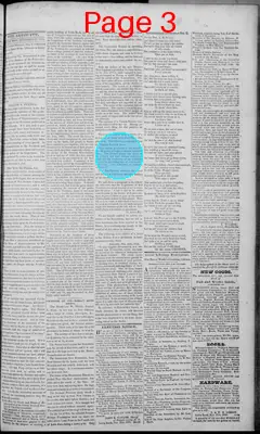 Page thumbnail for The Arkansas Advocate