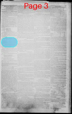 Page thumbnail for The Arkansas Advocate