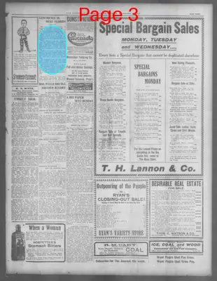 Page thumbnail for The Pensacola Journal
